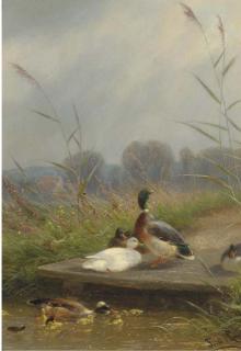 Fritz Lange - The first swim