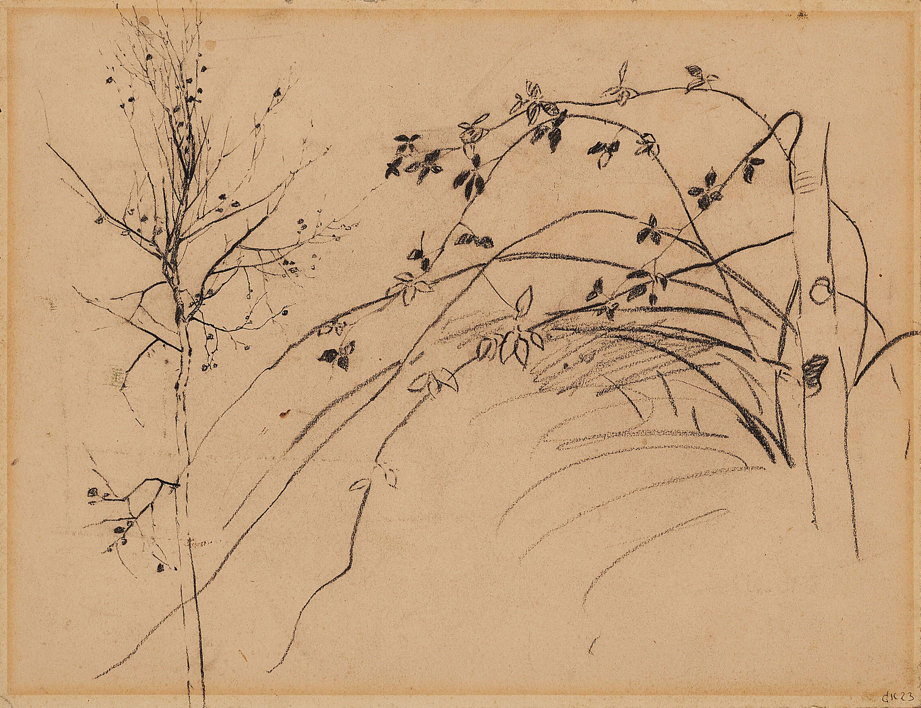 Fritz Overbeck - Studienblatt mit Birke und Busch.