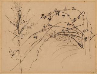 Fritz Overbeck - Studienblatt mit Birke und Busch.