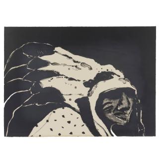 Fritz Scholder - Film Indian