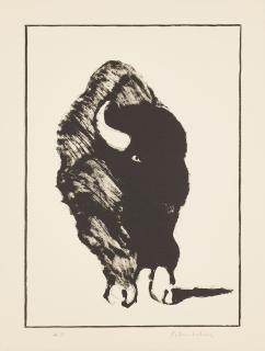 Fritz Scholder - The Buffalo