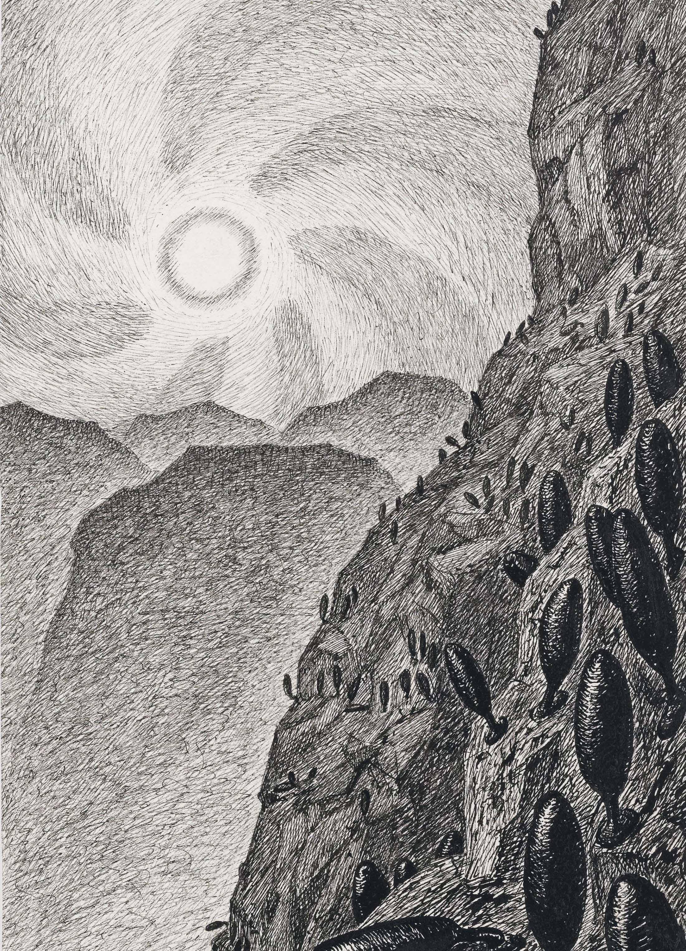 Fritz Schwimbeck - Urwald