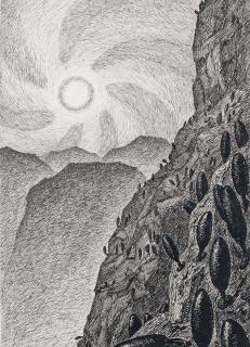 Fritz Schwimbeck - Urwald