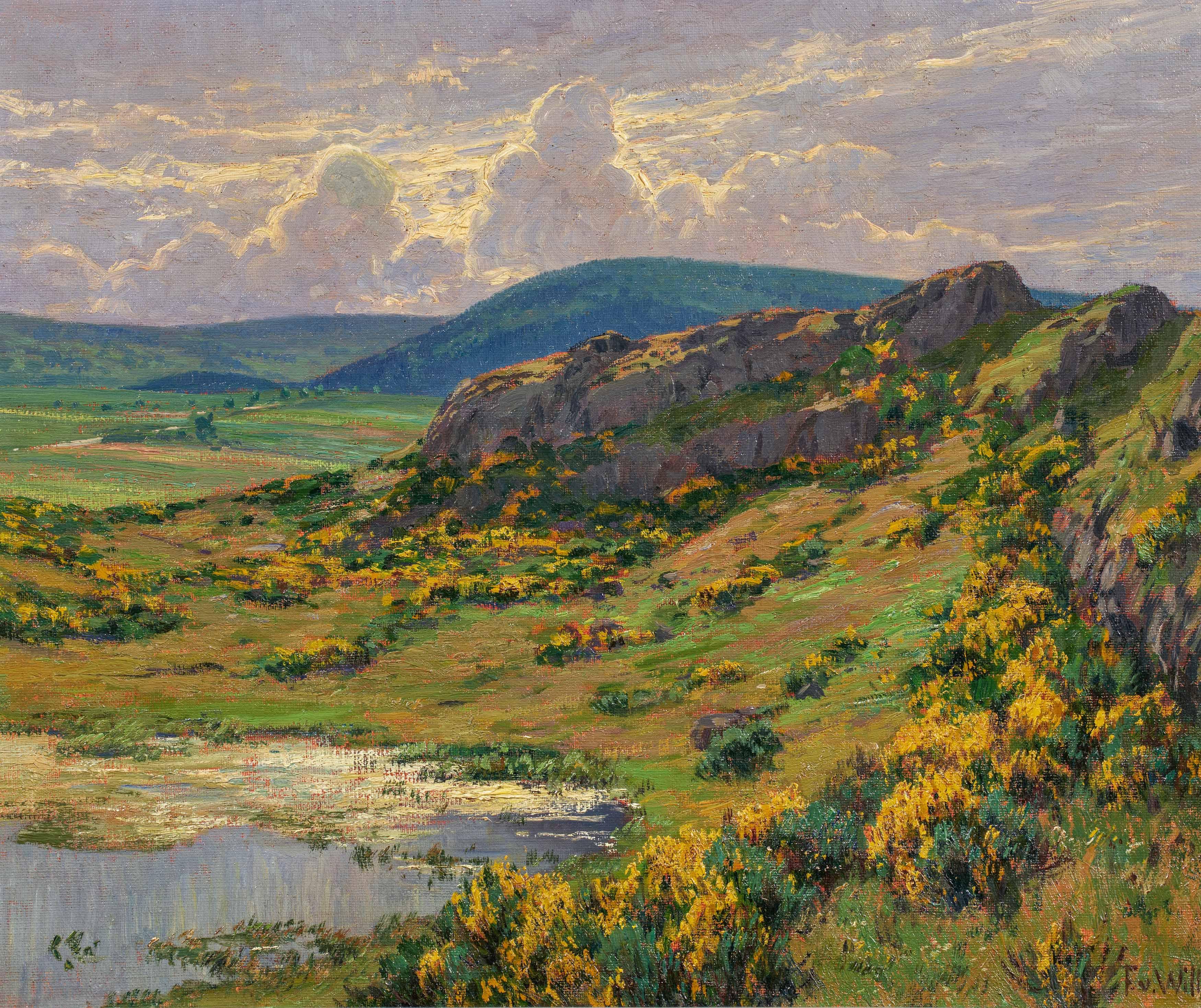 Fritz Von Wille - Blühender Ginster am Mosenberg.