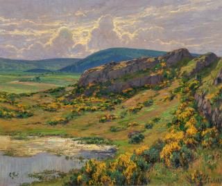 Fritz Von Wille - Blühender Ginster am Mosenberg.