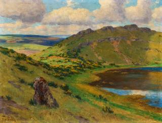 Fritz Von Wille - Ginsterblüte am Mosenberg.