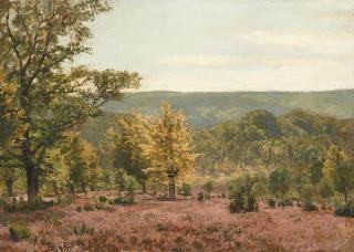 Fritz von Wille - Heidelandschaft