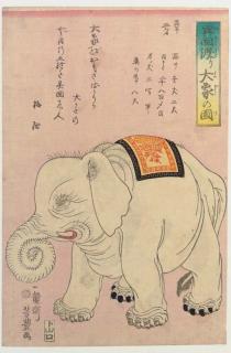 Fukuyama Yoshitoyo - Ikoku watari taizo no zu (Large imported elephant)
