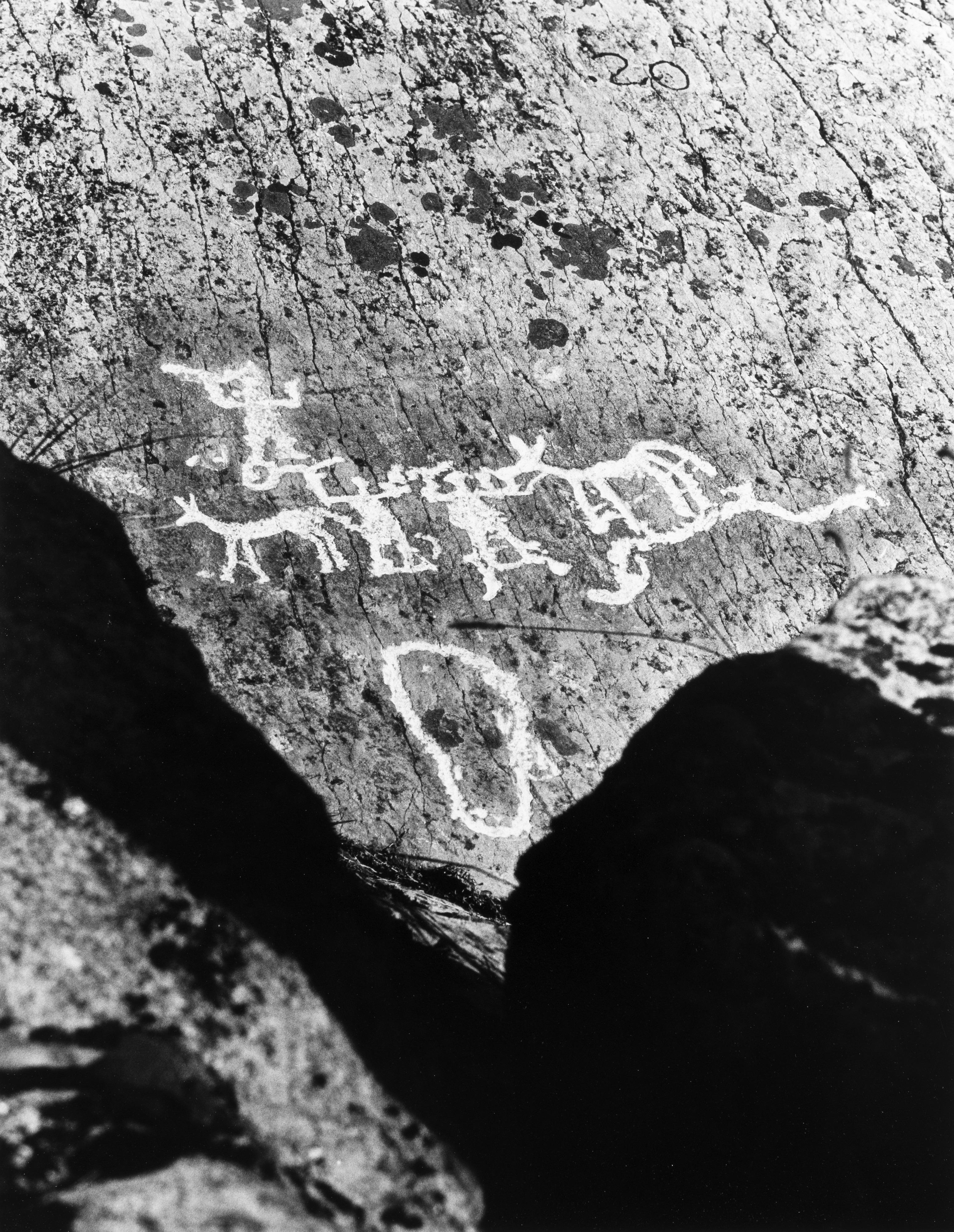 Fulvio Roiter - Pitture rupestri della Valcamonica 1960