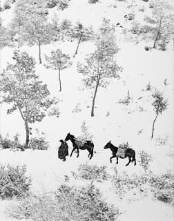 Fulvio Roiter - Umbria 1954