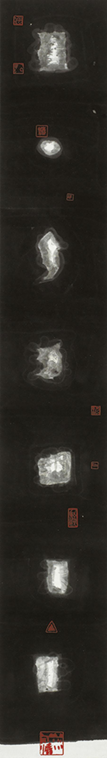 Fung Ming Chip - Light Form Script