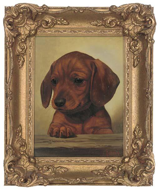 G. Beinez - The new puppy