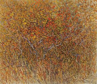 Gabor F. Peterdi - Fall V