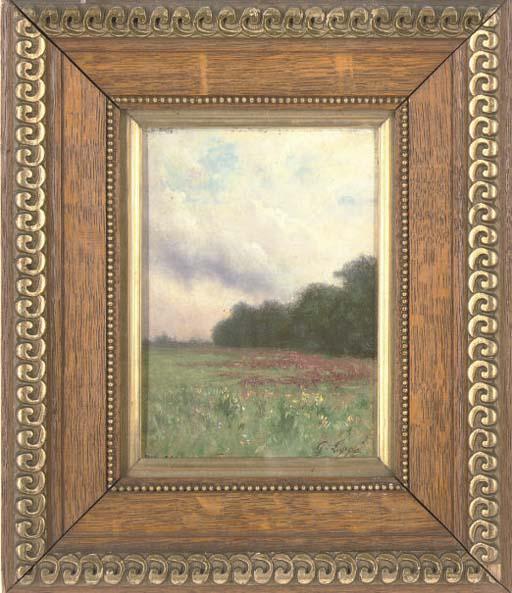 Gabriel Loppe - Poppyfields