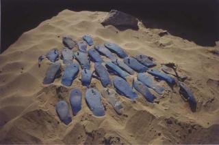 Gabriel Orozco - Blue Sandals