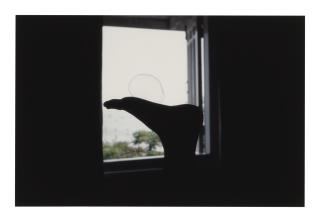 Gabriel Orozco - Bubble On Foot, 2004