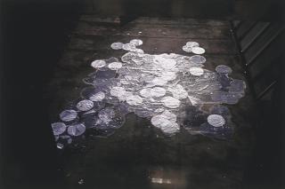 Gabriel Orozco - Charco portátil congelado