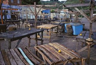 Gabriel Orozco - Crazy Tourist