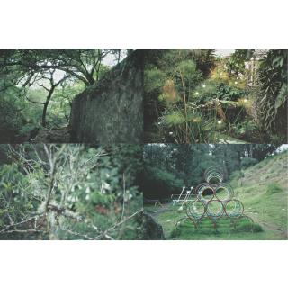 Gabriel Orozco - Cuatro Parques