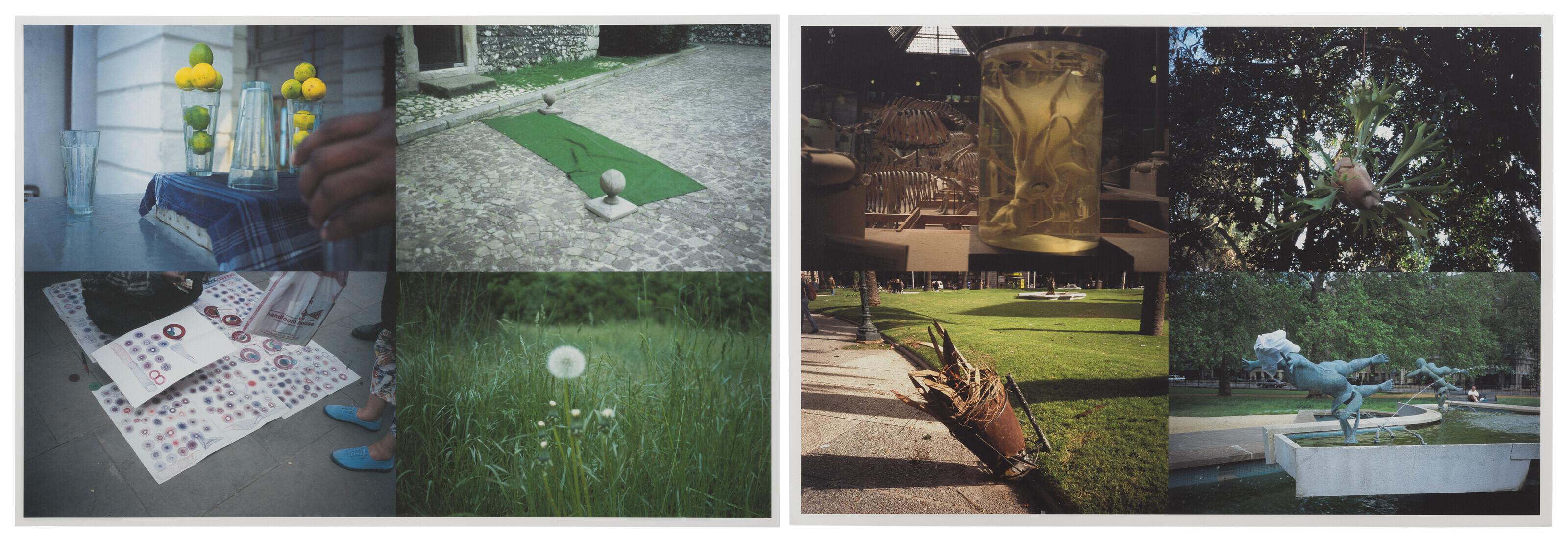 Gabriel Orozco - Disco Dados and Especimenes En Montevideo [Two Works]