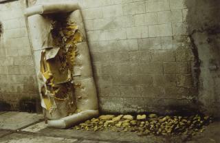 Gabriel Orozco - El Sillon De Mi Perro