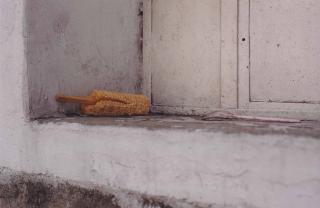 Gabriel Orozco - Elote (Sweet Corn)