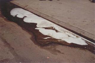 Gabriel Orozco - Foam