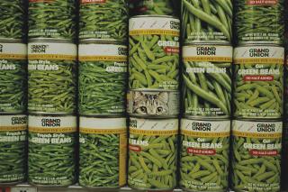 Gabriel Orozco - Gato En La Jungla (Cat In The Jungle)