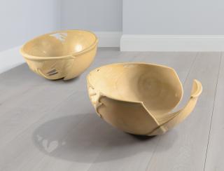 Gabriel Orozco - Hemisphere Leaves