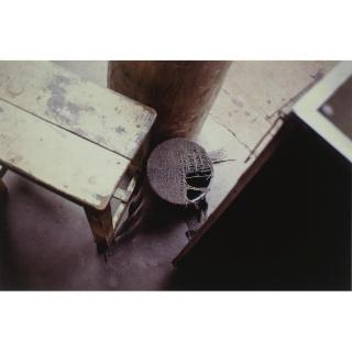 Gabriel Orozco - Jerga Pellizcada