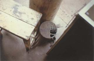 Gabriel Orozco - Jerga Pellizcada