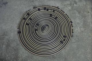 Gabriel Orozco - Mangjera Mordida (Eaten Hose)