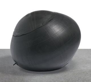 Gabriel Orozco - Naturaleza recuperada