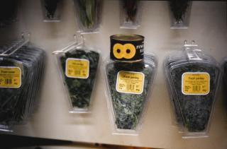 Gabriel Orozco - \'Owl\'