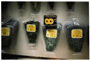 Gabriel Orozco - Owl