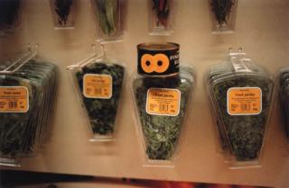 Gabriel Orozco - Owl