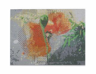 Gabriel Orozco - Red Broken Flower