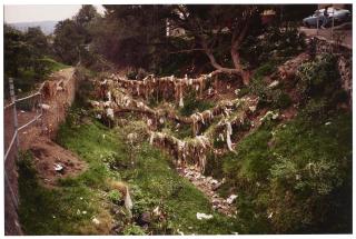 Gabriel Orozco - Rio de Basura