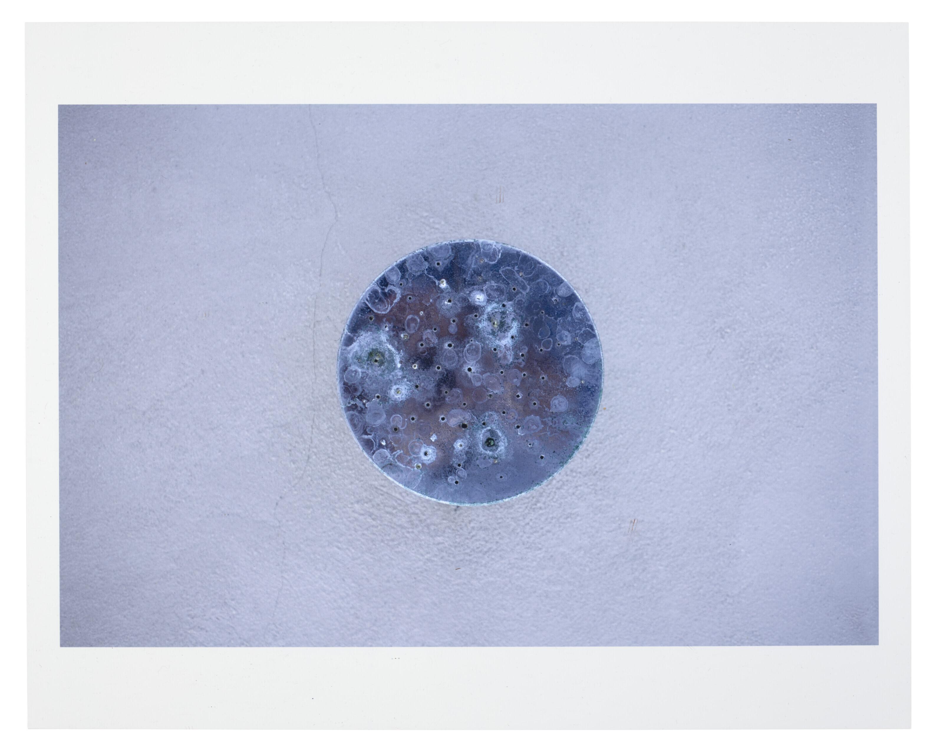 Gabriel Orozco - Shower Head