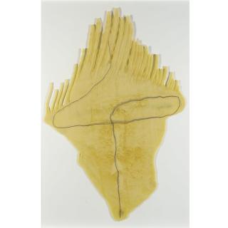 Gabriel Orozco - Spume After A Trace