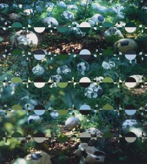 Gabriel Orozco - Trebol Time, 2005