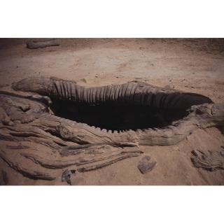 Gabriel Orozco - Well