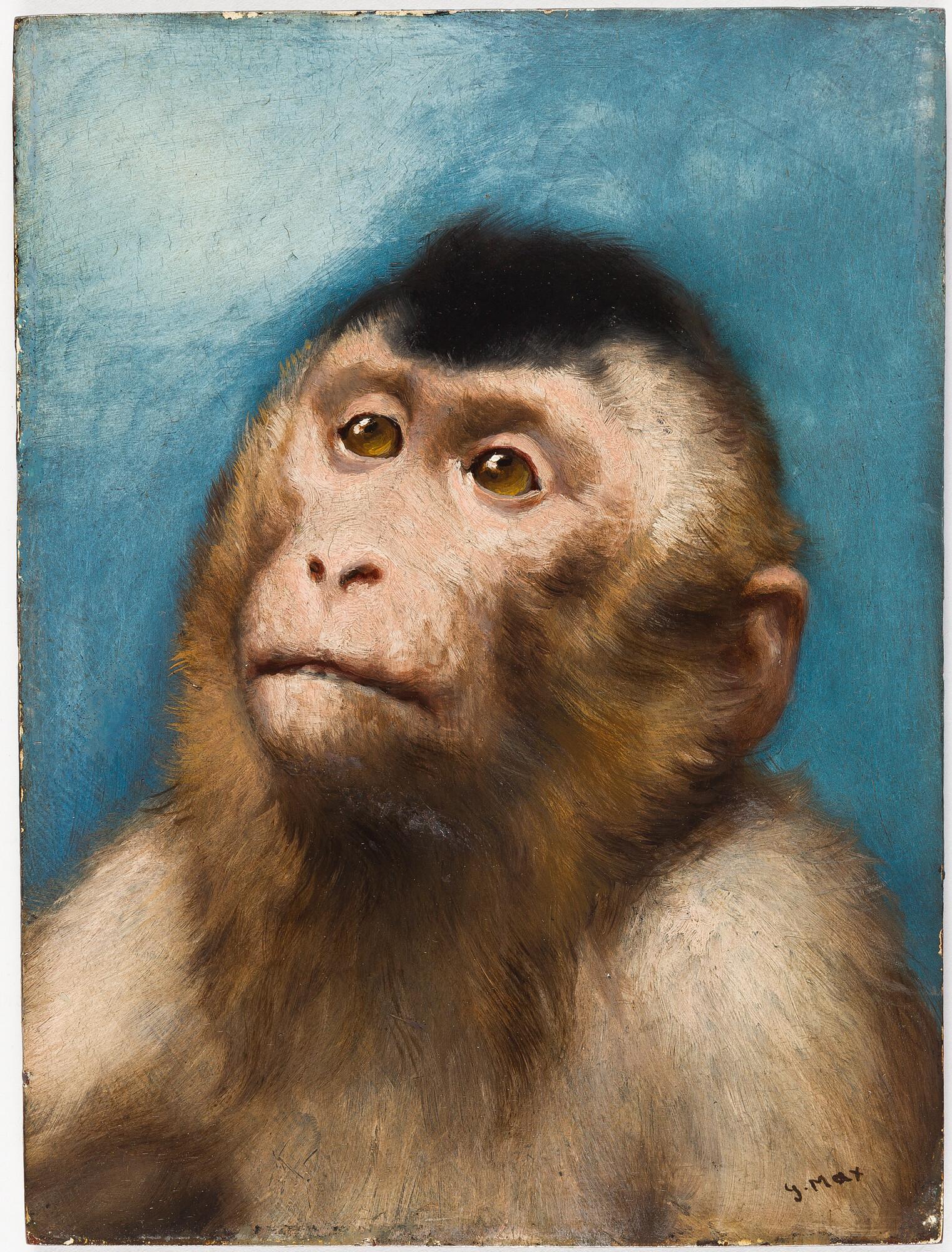 Gabriel von Max - Besinnung (Affe vor blauem Grund)