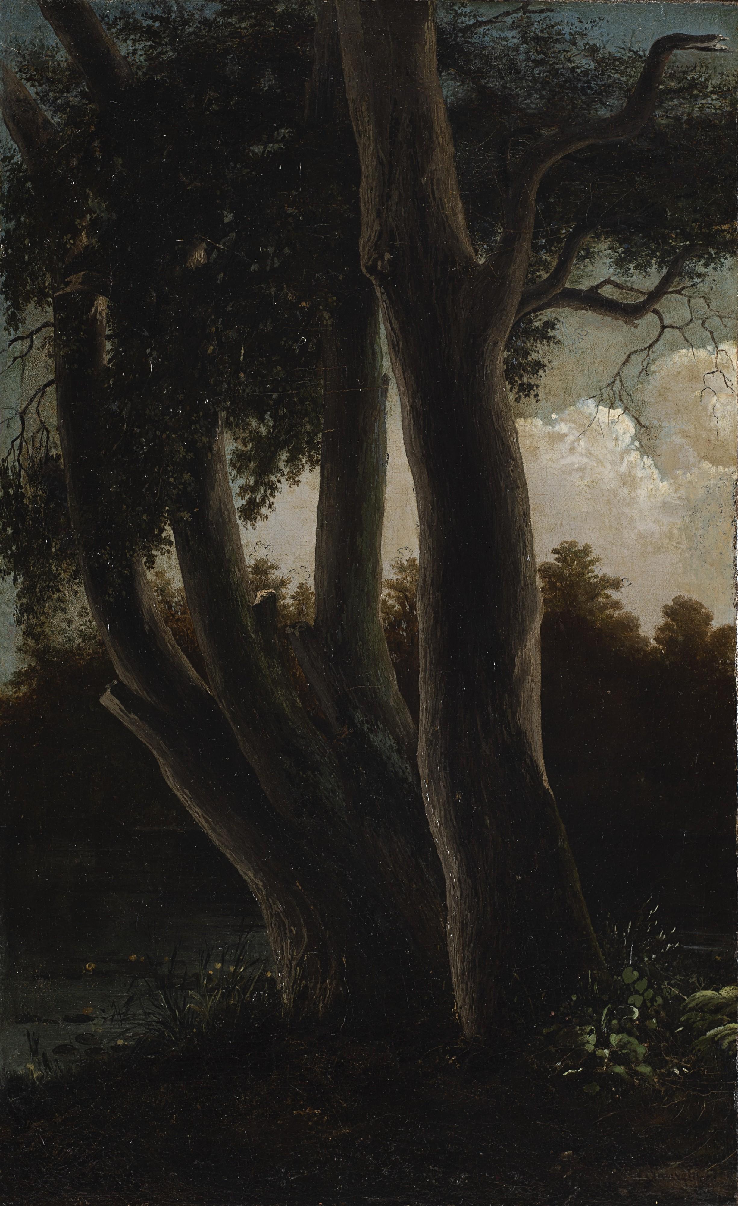 Gabriele Smargiassi - Salici in riva al fiume