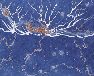 Gabriella Possum Nungurrayi - Milky Way Dreaming