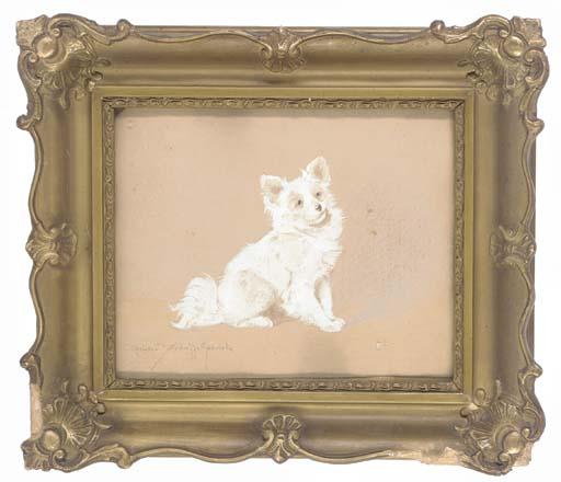 Gabriella Rainer Istvanffy - A little papillon