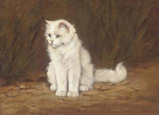 Gabriella Rainer-Istvanffy - Contemplation