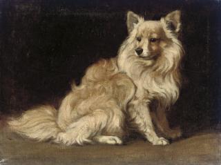 Gabrielle Rainer-Istvanffy - A papillon