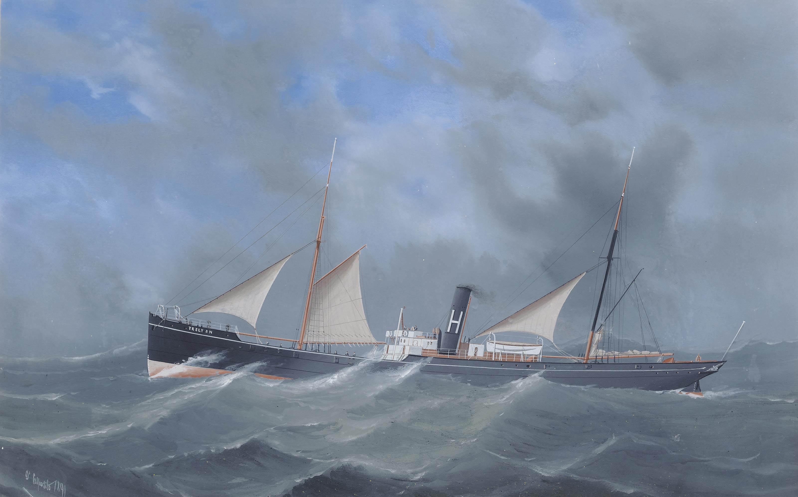 Gaetano D\'Esposito - The British merchant steamer Trelyon in a heavy swell