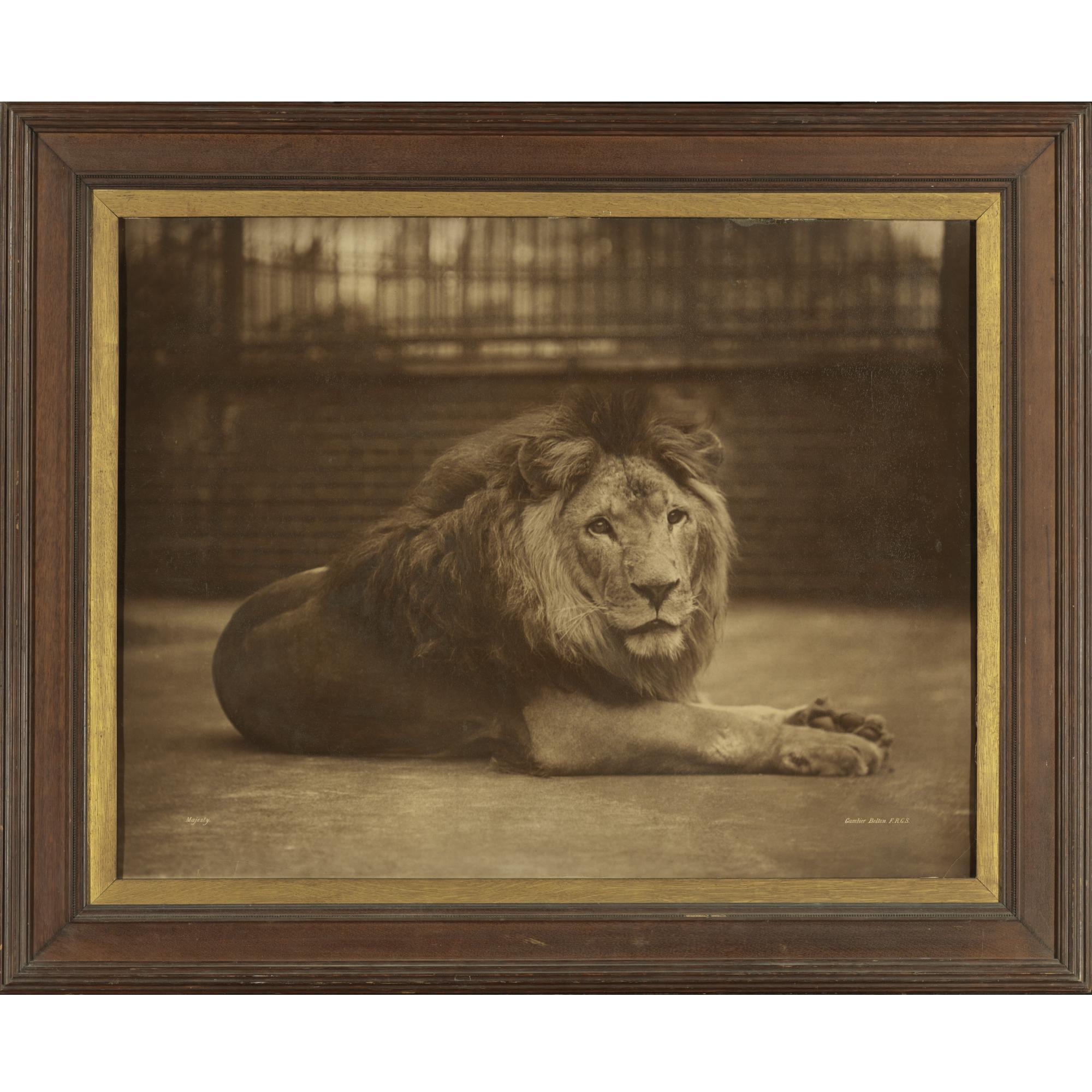 Gambier Bolton - \'Majesty\'